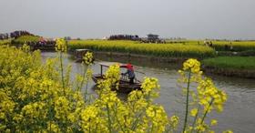 TB2258泰州-兴化千岛油菜花海、东台西溪古城、董永七仙女文化园、唐塔-海春轩塔、逛泰州老街2日