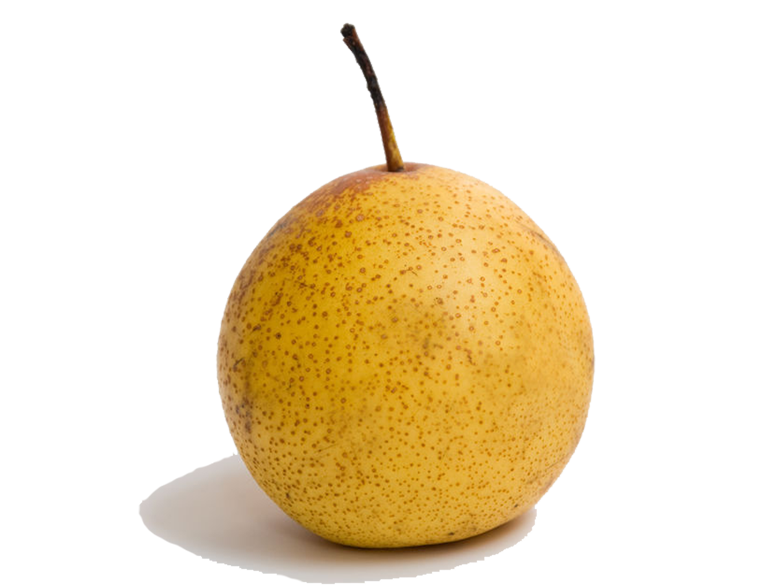  Լ500g