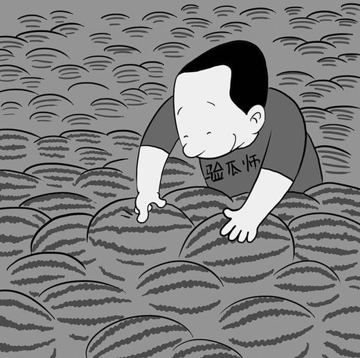 挑瓜高手 商品图0