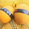 「水果优选」黄金蜜露瓜 商品缩略图0