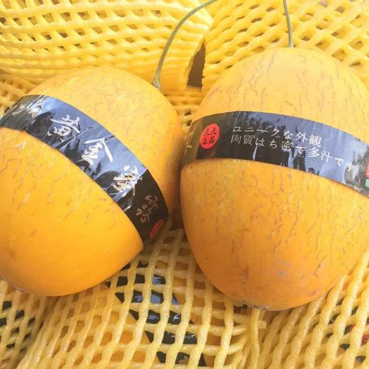 「水果优选」黄金蜜露瓜 商品图0