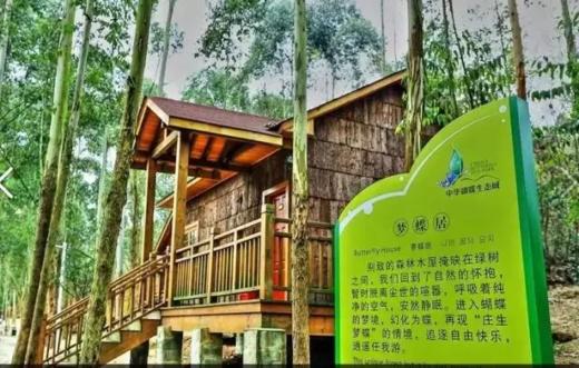 【彭州-蝴蝶谷小木屋】赏满园蝴蝶，回味80、90后童年野炊时光！ 商品图0