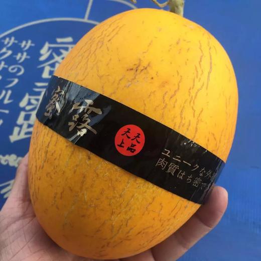 「水果优选」黄金蜜露瓜 商品图1