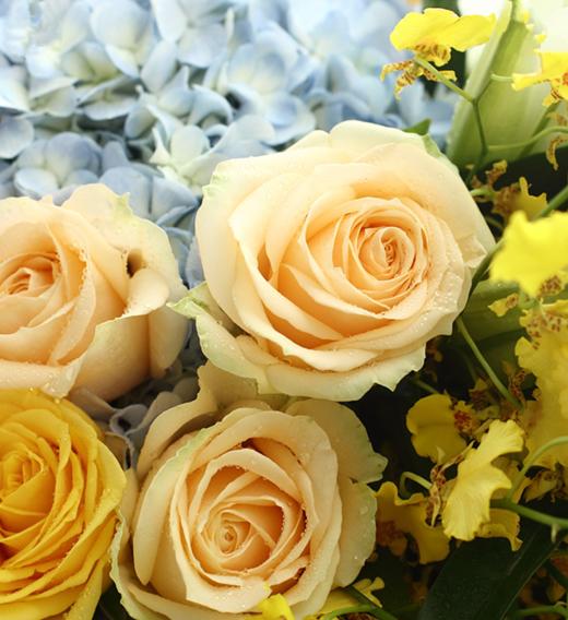 请原谅我   白百合2枝、浅蓝绣球1枝、金枝玉叶黄玫瑰6枝、香槟玫瑰3枝、栀子叶0.5扎、跳舞兰6枝 深浅绿双面人造纸2张、深棕色缎带2米(1372) 商品图2