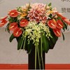 讲台花2   粉色百合5朵，天堂鸟8支，泰国洋兰10支，香槟玫瑰20支，白兰，红掌巴西叶及散尾葵适量 长度约70-75cm(1404) 商品缩略图0