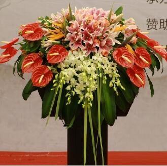 讲台花2   粉色百合5朵，天堂鸟8支，泰国洋兰10支，香槟玫瑰20支，白兰，红掌巴西叶及散尾葵适量 长度约70-75cm(1404) 商品图0