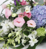 会议桌花  蓝紫色绣球1枝、粉色绣球2枝、白色洋兰1扎、粉色紫色桔梗各半扎、搭配龟背、高山羊齿、尤加利叶、银叶菊 圆形花插一只，花泥，尺寸约45cm*90cm(1400) 商品缩略图1