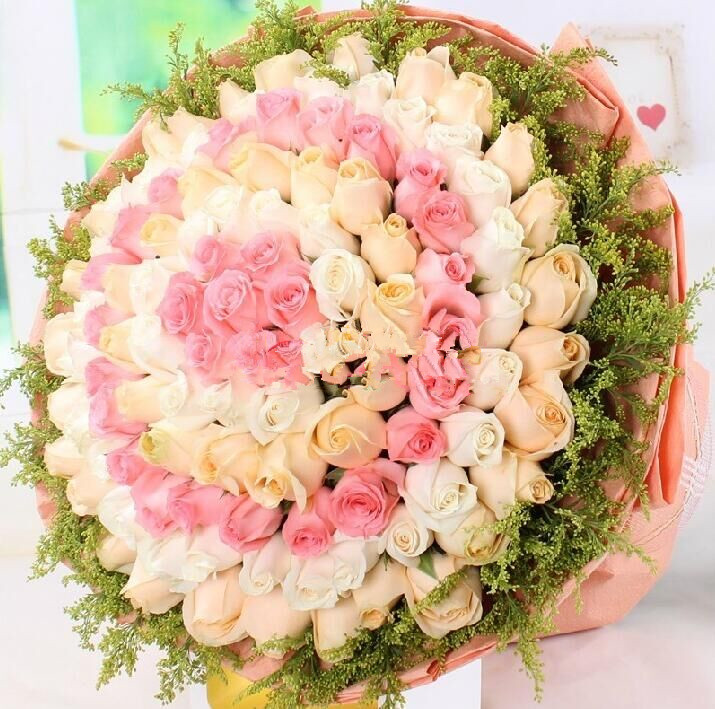 五彩缤纷  108枝三色玫瑰(9支粉色+11支白色+13支香槟色+20支粉色+25支白色+30支香槟色)，总计2 槟色皱纹纸多层圆形包装，纱网蝴蝶结围裹(1435)