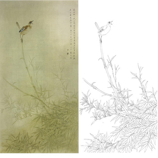 竖幅工笔花鸟白描底稿-周中耀-竹子《晨曲》-多种白描尺寸可选-ZT37 商品图0