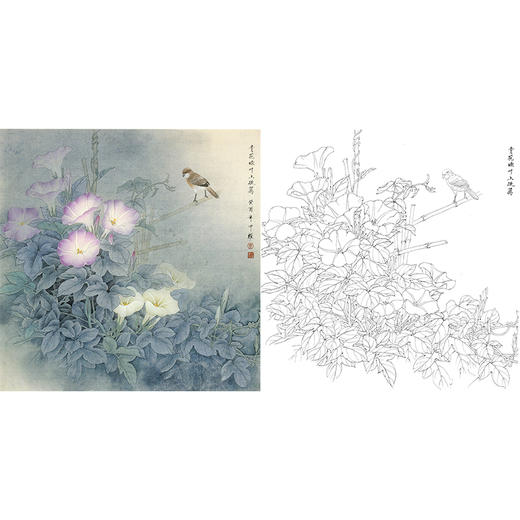 工笔花鸟白描底稿-牵牛花-周中耀《青花绿叶上疏篱》-斗方小品册页-ZT25 商品图0