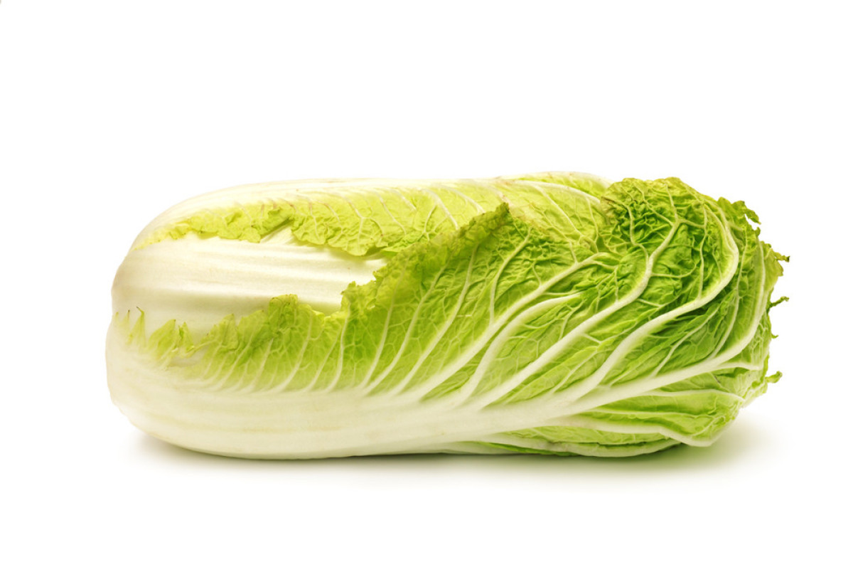 ׽ضײ