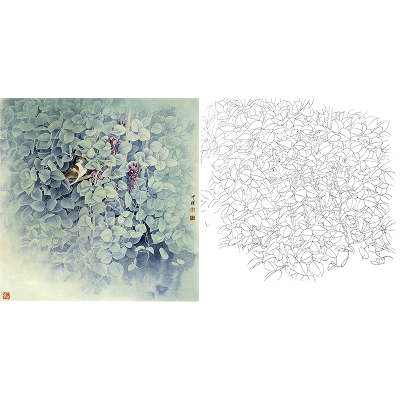 工笔花鸟白描底稿-周中耀《避暑》-斗方小品册页-多种白描尺寸可选-ZT26