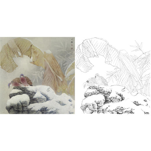 工笔花鸟白描底稿-周中耀-斑鸠《冬容》-斗方小品册页-多种白描尺寸可选-ZT28 商品图0
