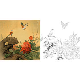 工笔花鸟白描底稿-周中耀-牡丹《丽日》-斗方小品册页-多种白描尺寸可选-ZT23