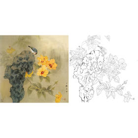 工笔花鸟白描底稿-周中耀《青苔石上净扶桑丛外香》-斗方小品册页-ZT24