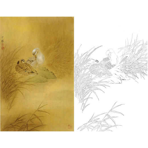 竖幅工笔花鸟白描底稿-周中耀《江湖春秋》-多种白描尺寸可选-ZT38 商品图0