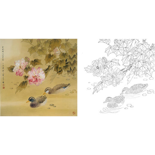 工笔花鸟白描底稿-周中耀《金风浦上吹芙蓉》-斗方小品册页-ZT22 商品图0