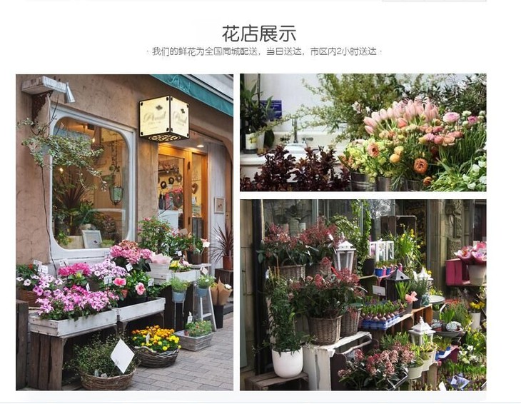 1458 生命的主角(巨型花束) 同城鲜花店送花订花花束礼盒开业花篮预订