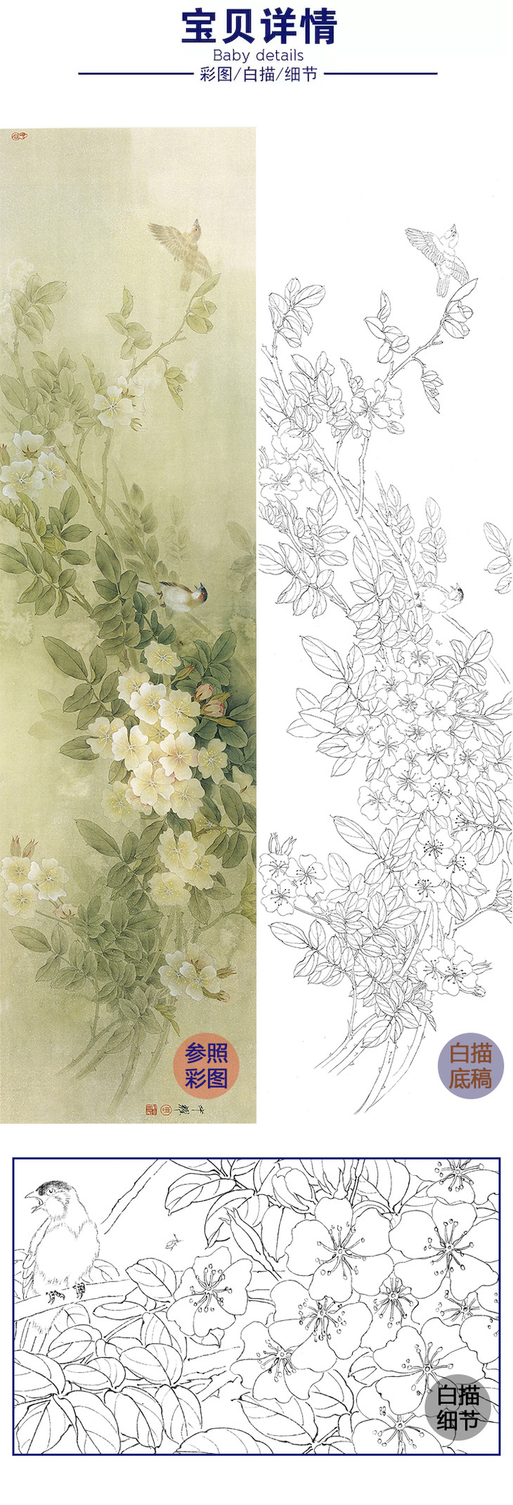 白描底稿-工笔花鸟-周中耀-菊花-《又聚蔷薇几度花》-多种白描尺寸可