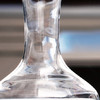 诗杯客乐新世纪水晶醒酒器 商品缩略图1