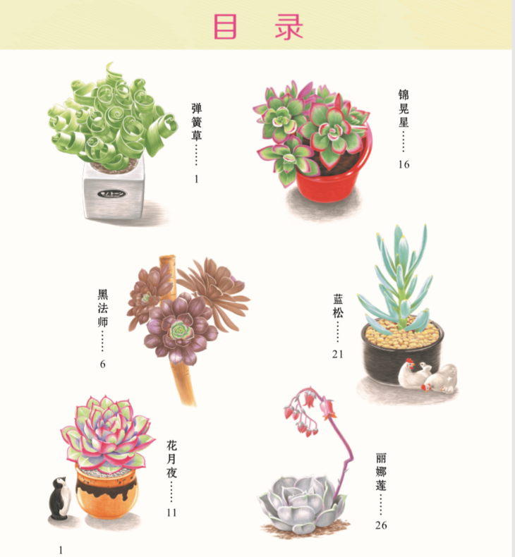 Ǧϵ-ֲ/ /滭̳/