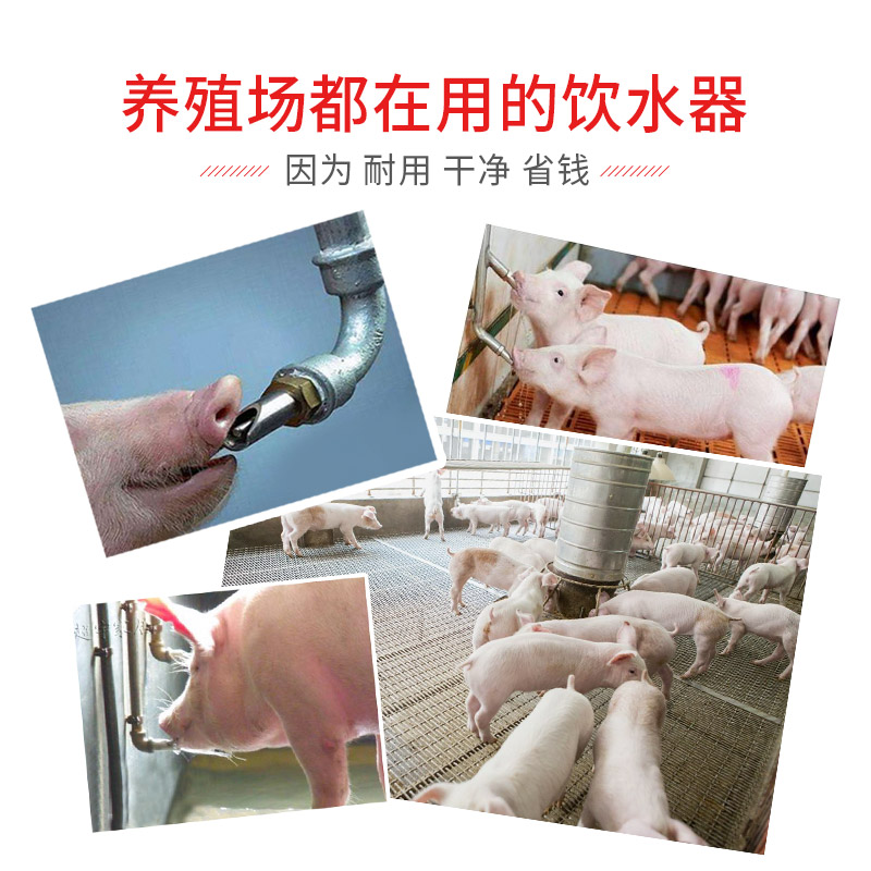 【猪水嘴 猪用饮水器 饮水碗 配件 猪用自动饮水器 多