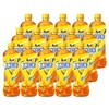 康师傅冰红茶500ml 商品缩略图0