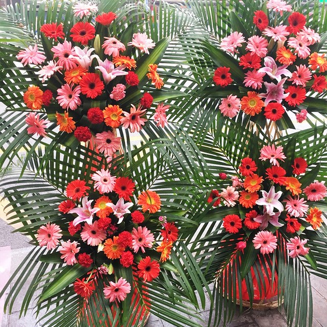 开业鲜花