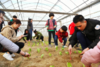 【妈网】4/14、4/15小农夫《变形记》，了解有机农业 、科普类认知、育苗中心参观等，更多精彩等你来看 商品缩略图0