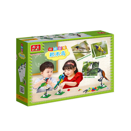科普益智《积木鸟》 商品图1