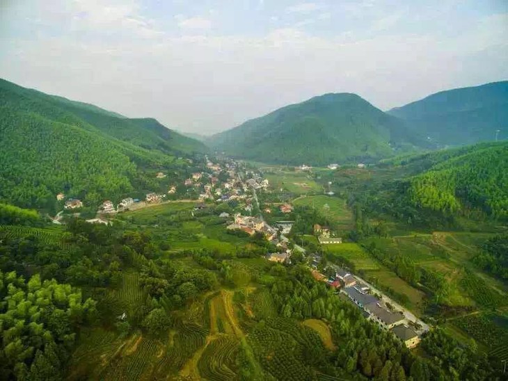 【留住春天的味道】安吉白茶,50g装