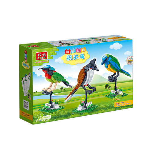 科普益智《积木鸟》 商品图0