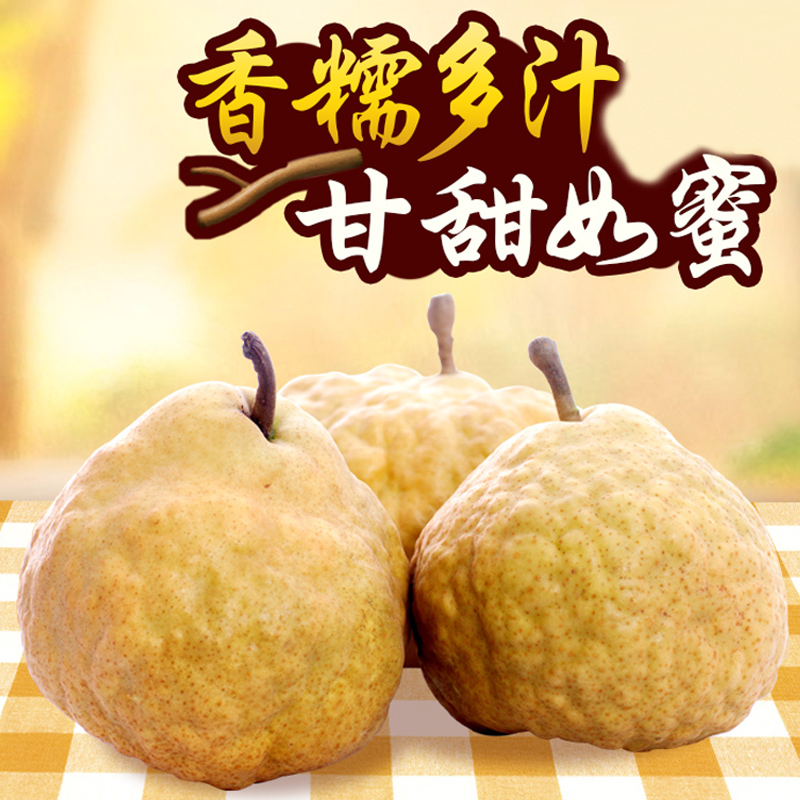 ɽ̨ ѡ1.5kg ơ汦ˮ