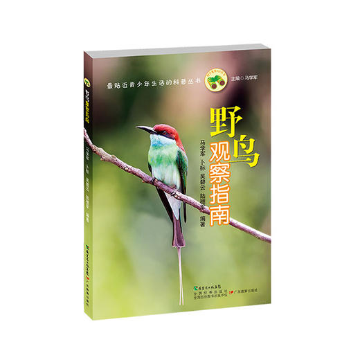 科普益智《积木鸟》 商品图2