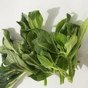 冰菜