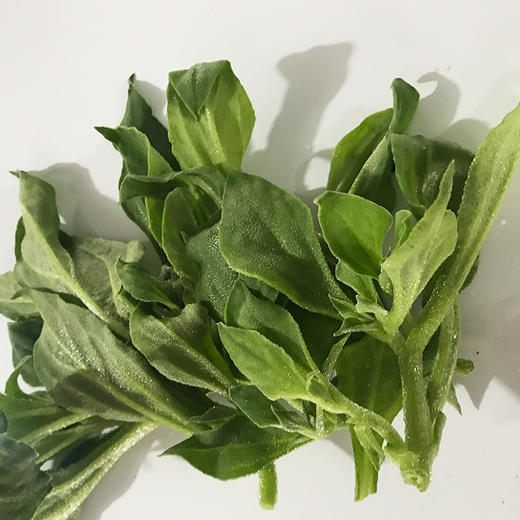 冰菜 商品图0