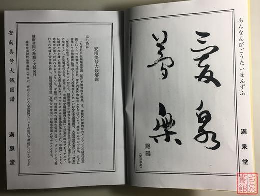 《安南美号大钱图谱》影印本 商品图2