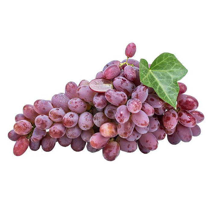Ѻ