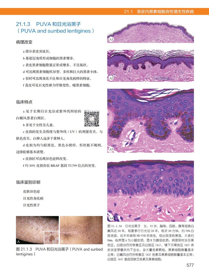 实用皮肤组织病理学(第2版)(纸质书/图书/参考书/西医/基础医学)