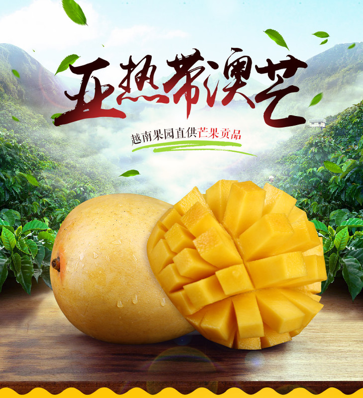 【芒果王子】 越南进口澳芒一级果 香甜浓郁 肉厚细腻