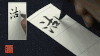 赵孟頫《妙严寺记》精选百字卡+韦斯琴通临《妙严寺记》 商品缩略图4