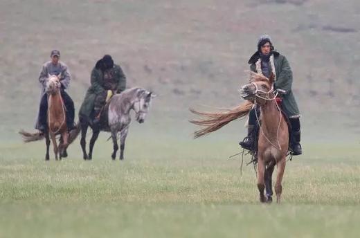 【呼伦贝尔】仲夏草原风光人像、蒙古族•俄罗斯风情6天摄影团 商品图6