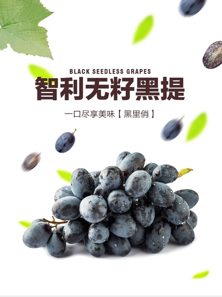 智利 进口无籽黑提 葡萄/提子 1kg装 新鲜水果