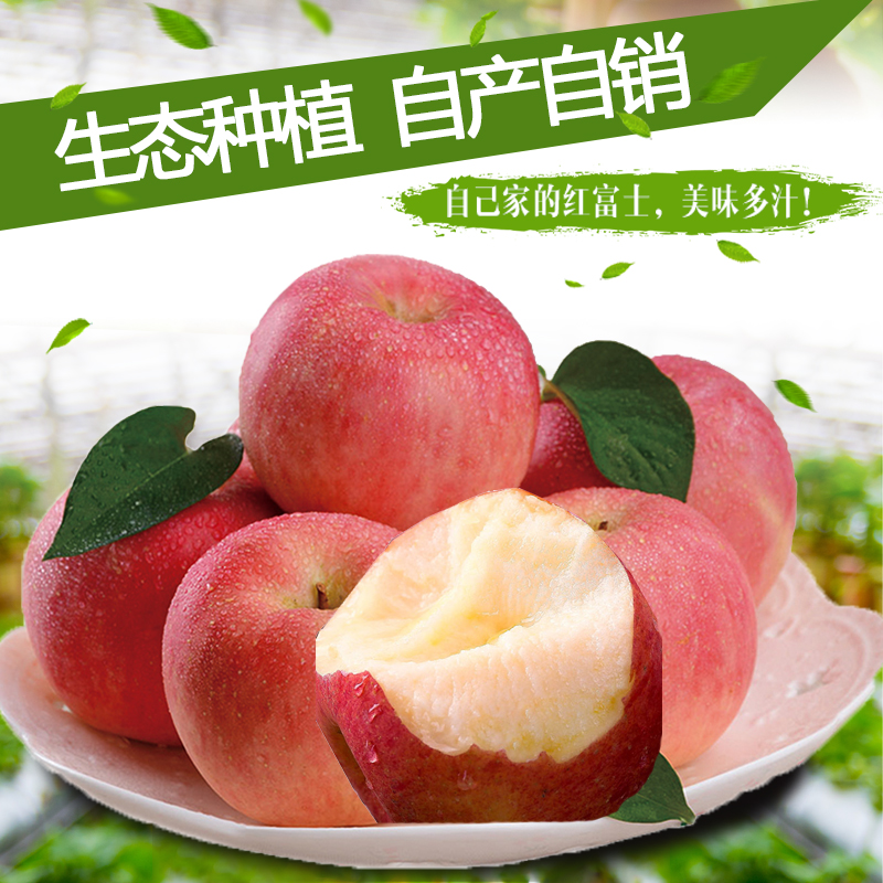 【第一期】吉县红富士