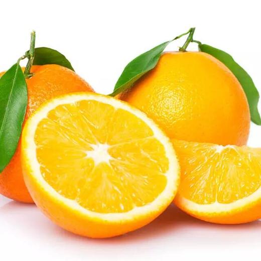 秭归伦晚橙 商品图0