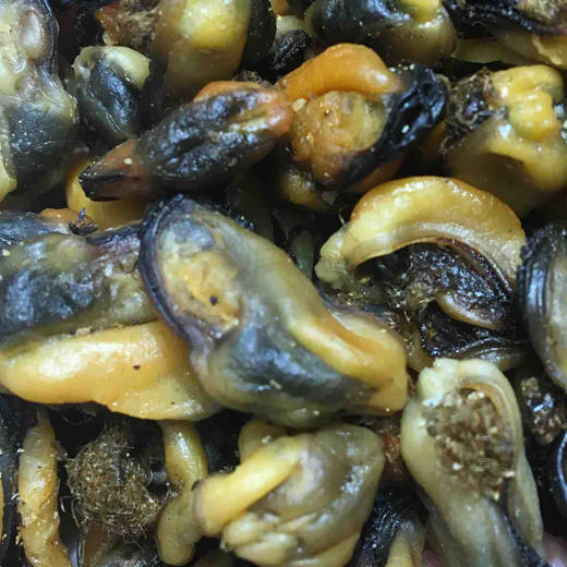 南港渔铺 淡菜干500g 商品图0
