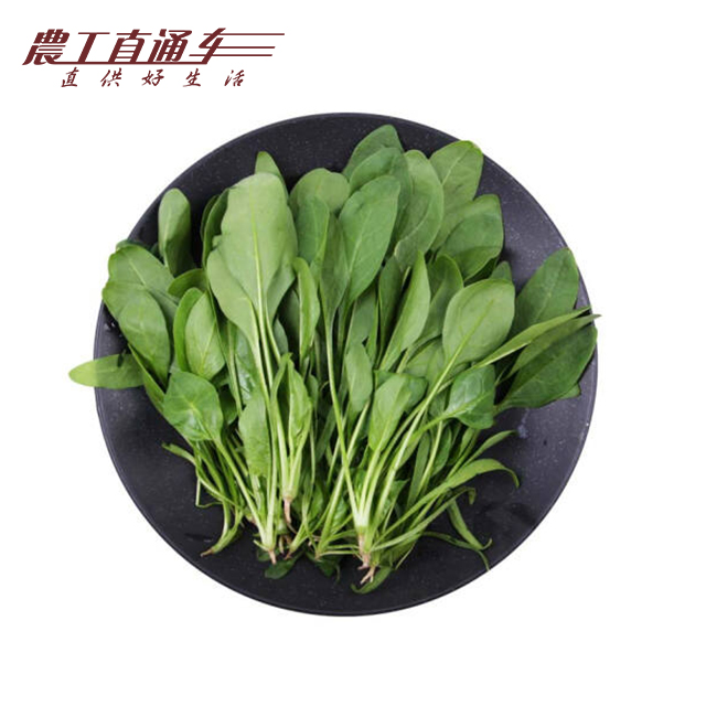 菠菜苗200g