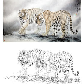 横幅工笔动物白描底稿-老虎-王爱民《清风过客彩色》-多种白描尺寸可选-WH07