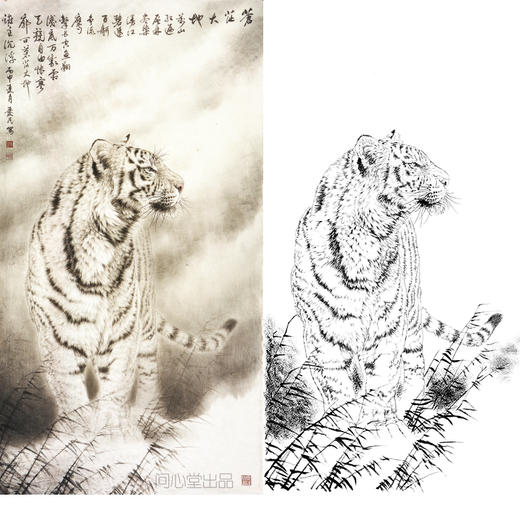 竖幅工笔动物白描底稿-老虎-王爱民《苍茫大地》-多种白描尺寸可选-WH01 商品图0