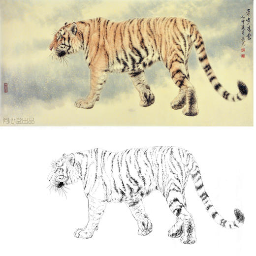 横幅工笔动物白描底稿-老虎-王爱民-《平步青云》-多种白描尺寸可选-WH06 商品图0